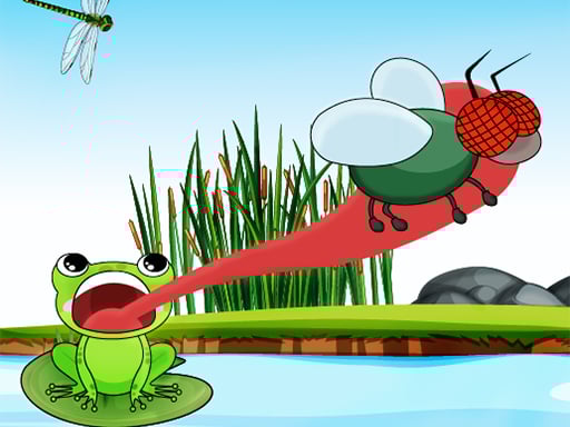 Fly Feast 2024 Image